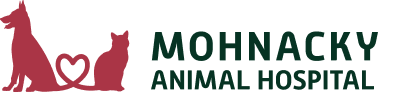 Mohnacky Animal Hospital